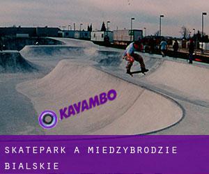 Skatepark à Międzybrodzie Bialskie