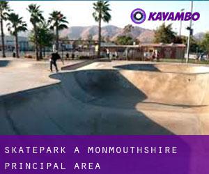 Skatepark à Monmouthshire principal area