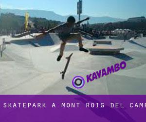 Skatepark à Mont-roig del Camp