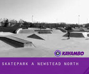 Skatepark à Newstead North