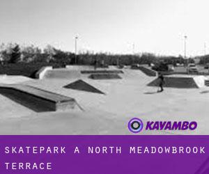 Skatepark à North Meadowbrook Terrace