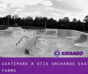 Skatepark à Otis Orchards-East Farms
