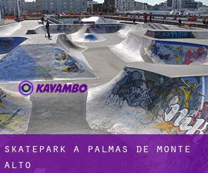 Skatepark à Palmas de Monte Alto