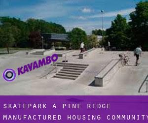 Skatepark à Pine Ridge Manufactured Housing Community