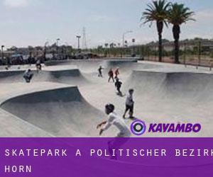 Skatepark à Politischer Bezirk Horn