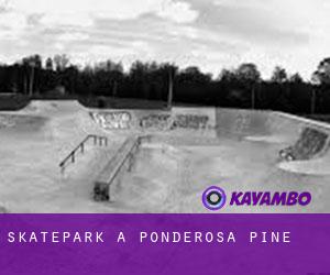 Skatepark à Ponderosa Pine