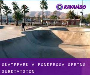 Skatepark à Ponderosa Spring Subdivision