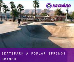 Skatepark à Poplar Springs Branch