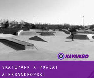 Skatepark à Powiat aleksandrowski