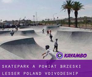 Skatepark à Powiat brzeski (Lesser Poland Voivodeship)