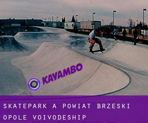 Skatepark à Powiat brzeski (Opole Voivodeship)