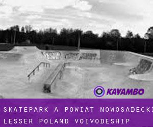 Skatepark à Powiat nowosadecki (Lesser Poland Voivodeship)
