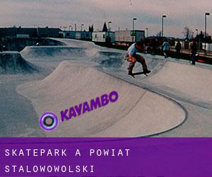 Skatepark à Powiat stalowowolski