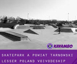 Skatepark à Powiat tarnowski (Lesser Poland Voivodeship)