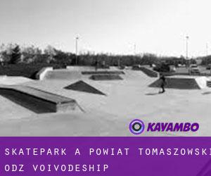 Skatepark à Powiat tomaszowski (Łódź Voivodeship)