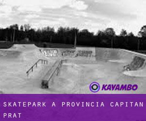 Skatepark à Provincia Capitán Prat
