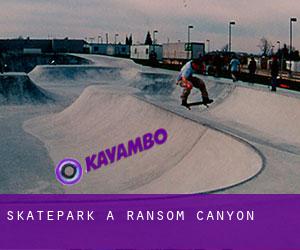 Skatepark à Ransom Canyon