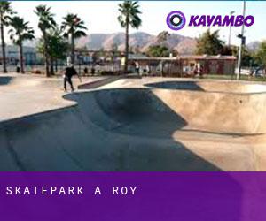 Skatepark à Roy