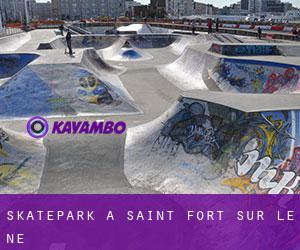 Skatepark à Saint-Fort-sur-le-Né