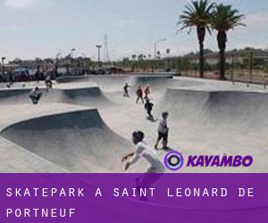Skatepark à Saint-Léonard-de-Portneuf