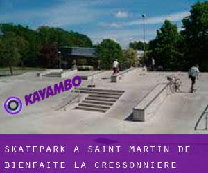 Skatepark à Saint-Martin-de-Bienfaite-la-Cressonnière