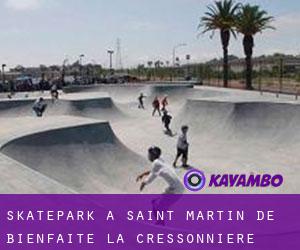 Skatepark à Saint-Martin-de-Bienfaite-la-Cressonnière