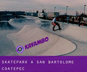 Skatepark à San Bartolomé Coatepec