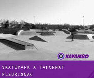Skatepark à Taponnat-Fleurignac