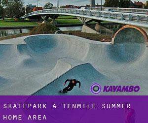 Skatepark à Tenmile Summer Home Area