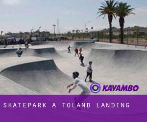 Skatepark à Toland Landing
