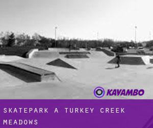 Skatepark à Turkey Creek Meadows