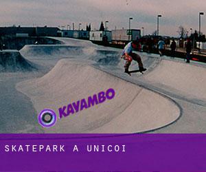 Skatepark à Unicoi