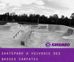 Skatepark à Voïvodie des Basses-Carpates