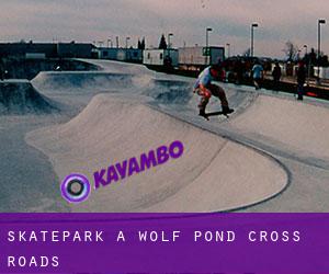 Skatepark à Wolf Pond Cross Roads