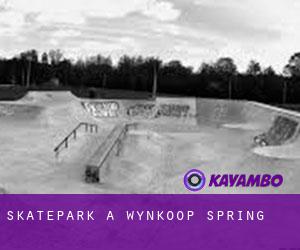 Skatepark à Wynkoop Spring