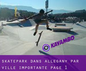 Skatepark dans Allegany par ville importante - page 1