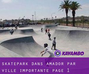 Skatepark dans Amador par ville importante - page 1