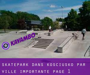 Skatepark dans Kosciusko par ville importante - page 1