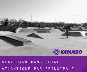 Skatepark dans Loire-Atlantique par principale ville - page 7