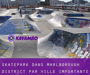 Skatepark dans Marlborough District par ville importante - page 1