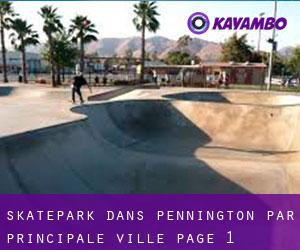 Skatepark dans Pennington par principale ville - page 1