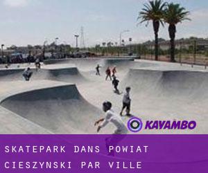 Skatepark dans Powiat cieszyński par ville importante - page 1