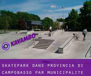 Skatepark dans Provincia di Campobasso par municipalité - page 2