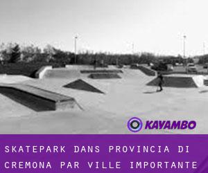 Skatepark dans Provincia di Cremona par ville importante - page 1