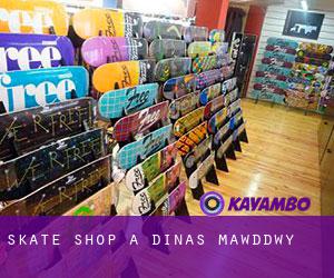 Skate shop à Dinas Mawddwy