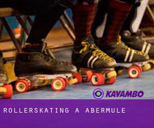 Rollerskating à Abermule