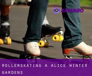 Rollerskating à Alice Winter Gardens