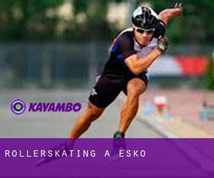 Rollerskating à Esko