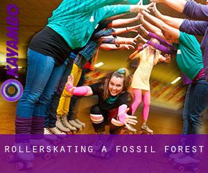 Rollerskating à Fossil Forest