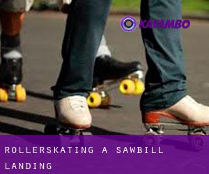 Rollerskating à Sawbill Landing